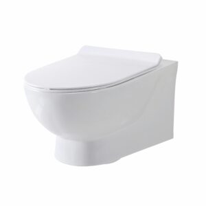 Rimless Wall hung Pan