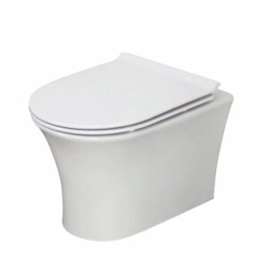 Rimless Wall Hung Pan